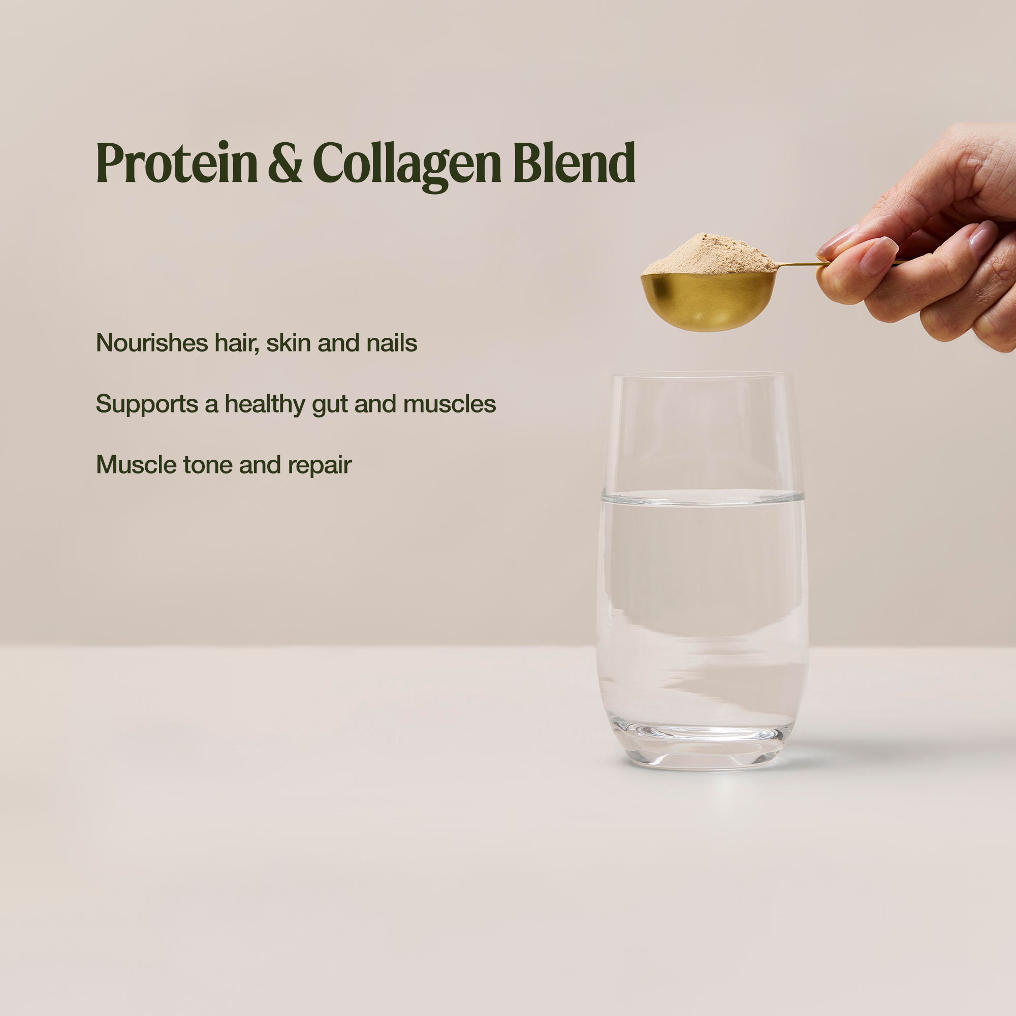 Collagen Plus Protein Vanilla