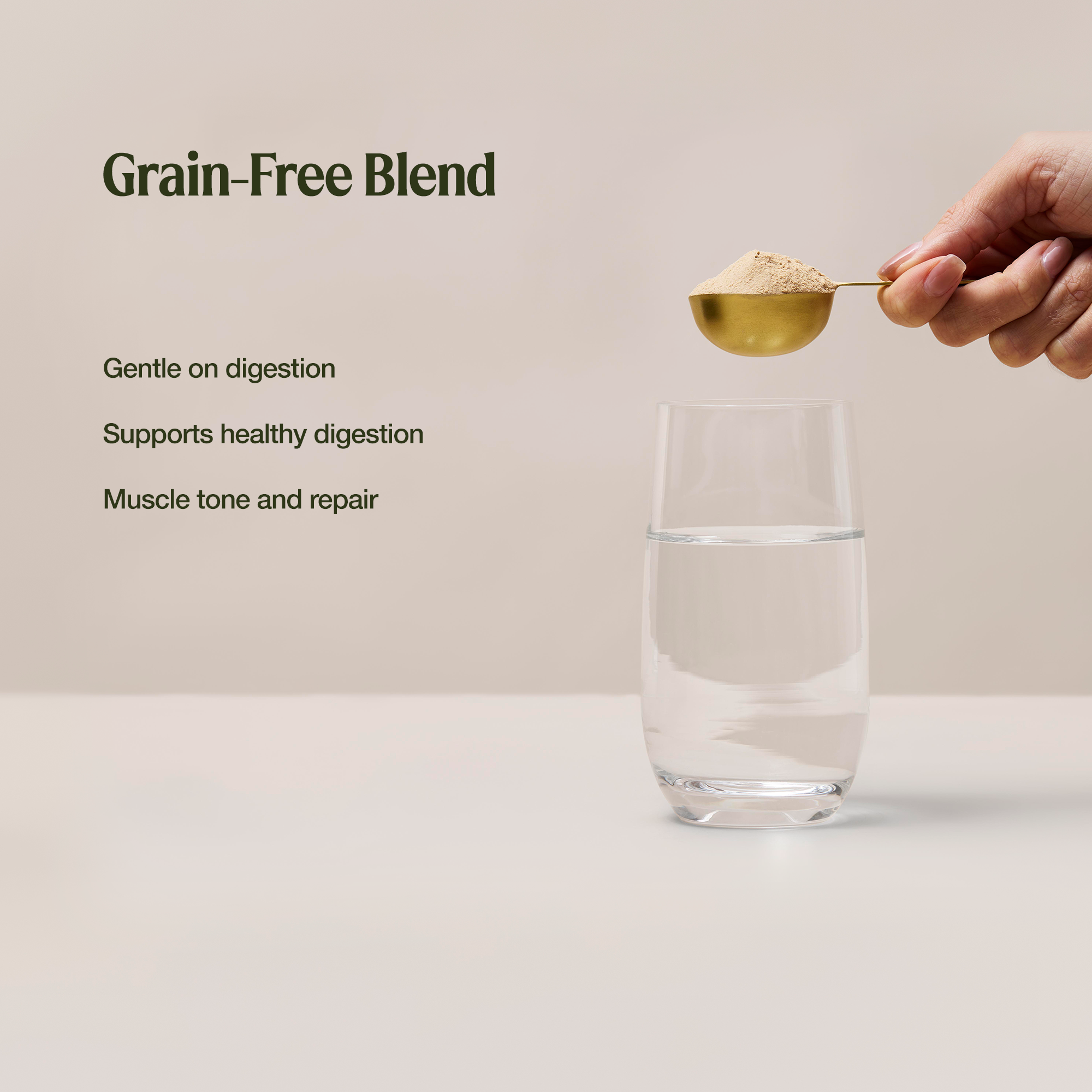 Gentle Digest Protein Chocolate