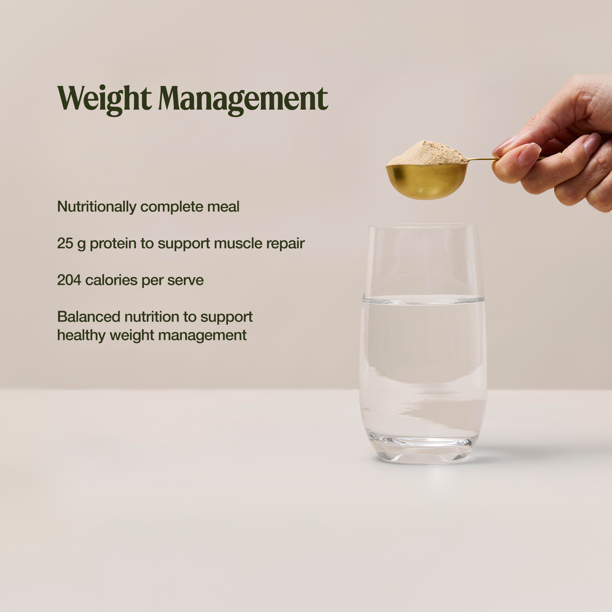 Meal Replacement Decadent Chocolate