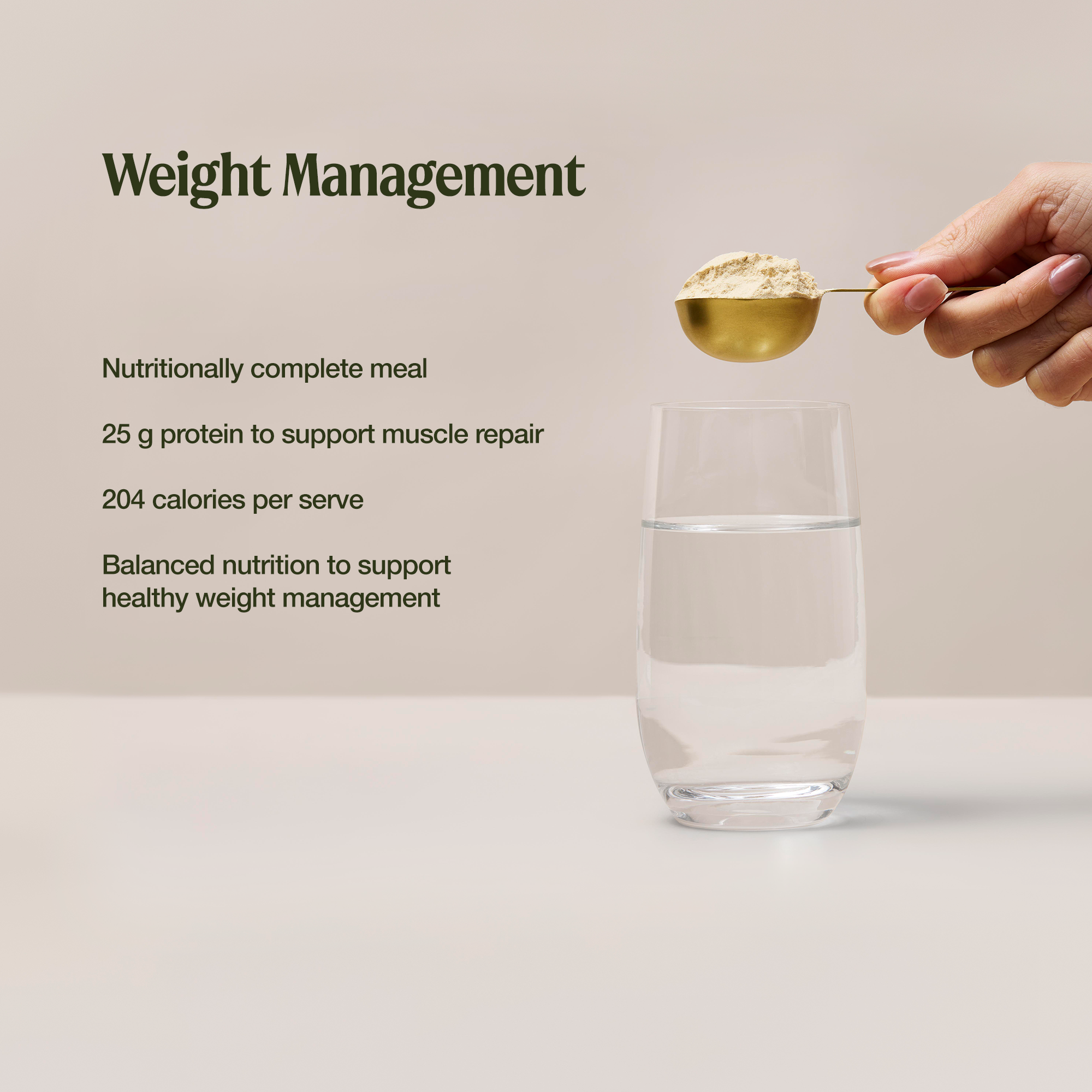 Meal Replacement Vanilla Crème