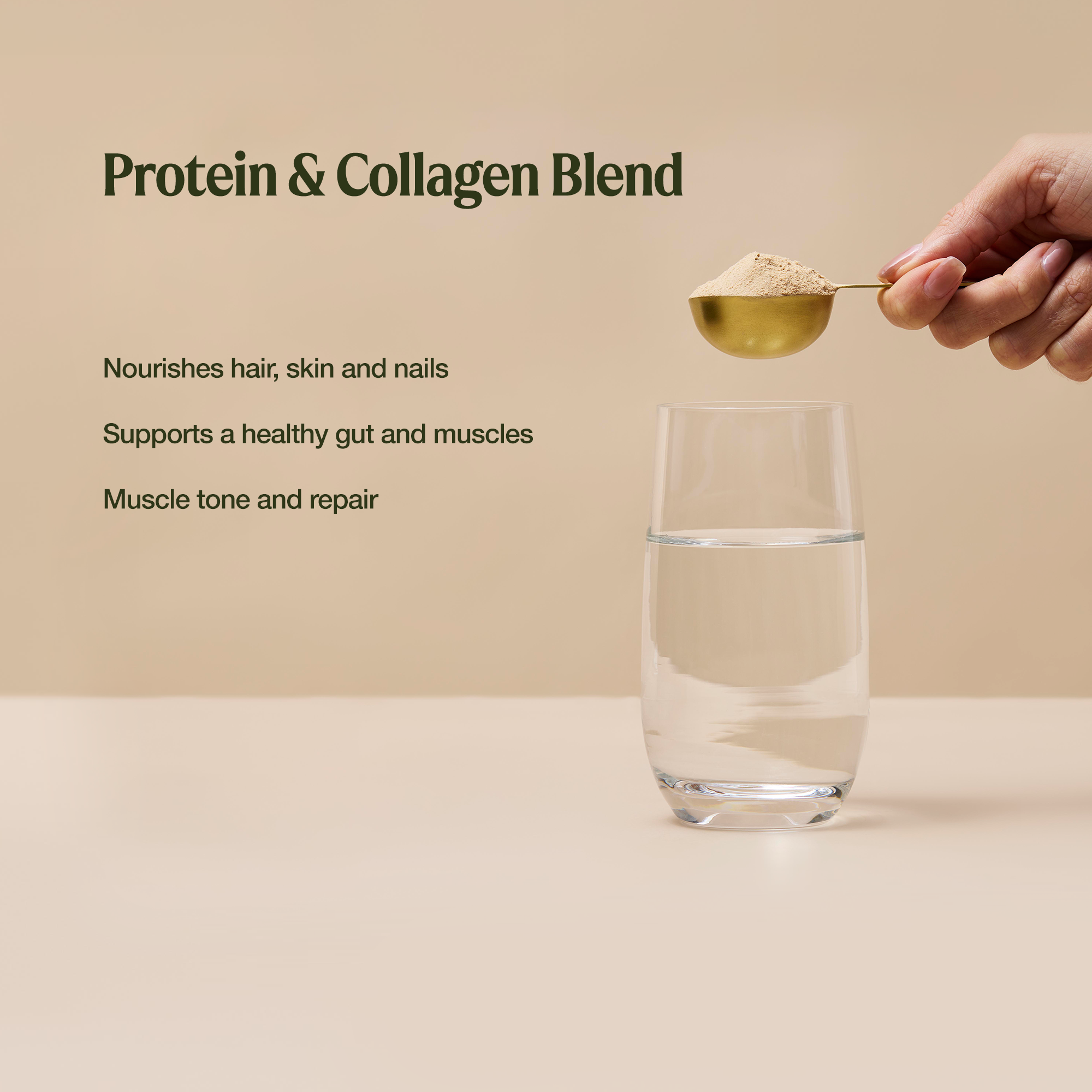 Collagen Plus Protein Choc Hazelnut