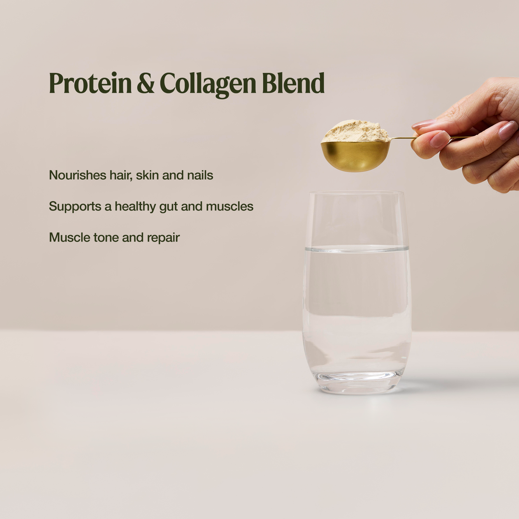 Collagen Plus Protein Choc Hazelnut