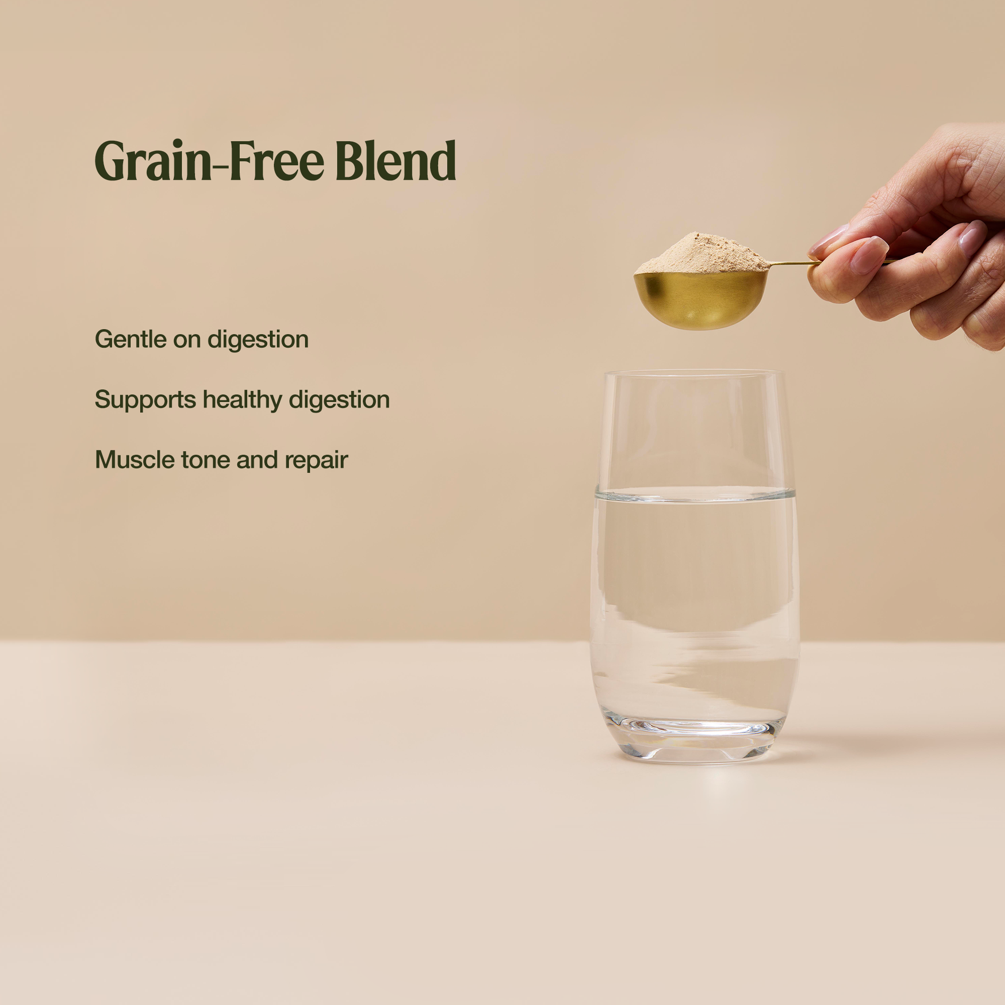 Gentle Digest Protein Chocolate